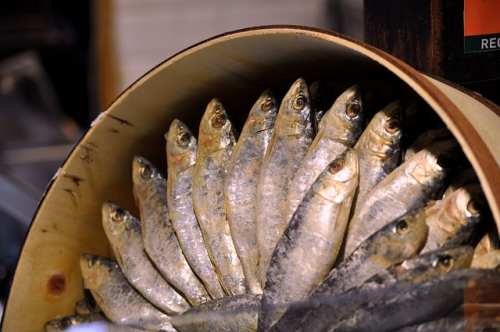 Calorías de las sardinas