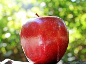 calorias de una manzana