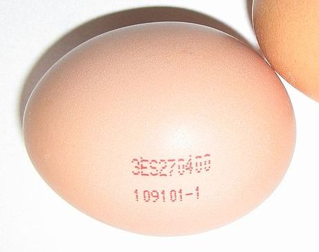 etiquetado-huevo