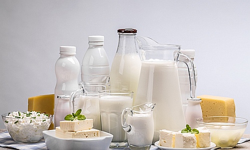 ¿Los lácteos son sanos o insanos?