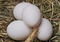 ¿Cuántas calorías tiene un huevo? ¿Importa?