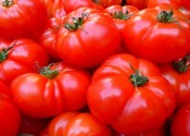 ¿Cuántas calorías tiene un tomate? ¿Importa? ¿Engorda?