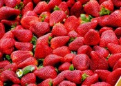 ¿Cuántas calorías tienen las fresas?