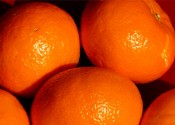 ¿Importa cuántas calorías tiene una mandarina y una naranja? ¿Engorda?