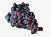 ¿La uva engorda o adelgaza? ¿Importa cuántas calorías tienen las uvas?