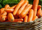 ¿Cuántas calorías tienen las zanahorias? ¿Engordan?